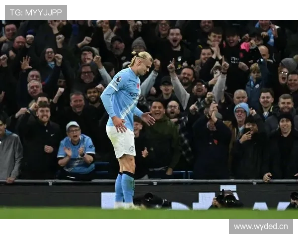 哈兰德12次对抗创五大联赛纪录